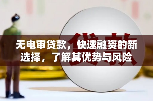 张家川无电审贷款，快速融资的新选择，了解其优势与风险