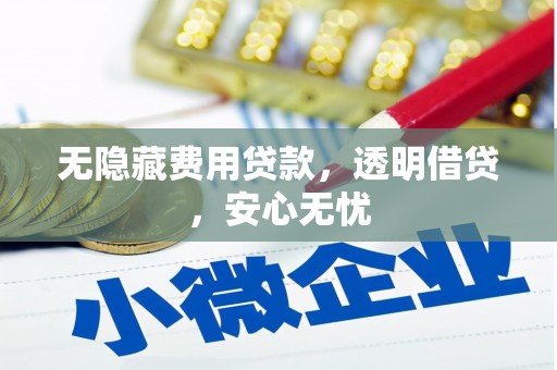 张家川无隐藏费用贷款，透明借贷，安心无忧