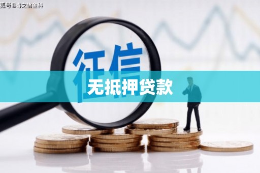 张家川无抵押贷款