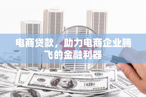 张家川电商贷款，助力电商企业腾飞的金融利器