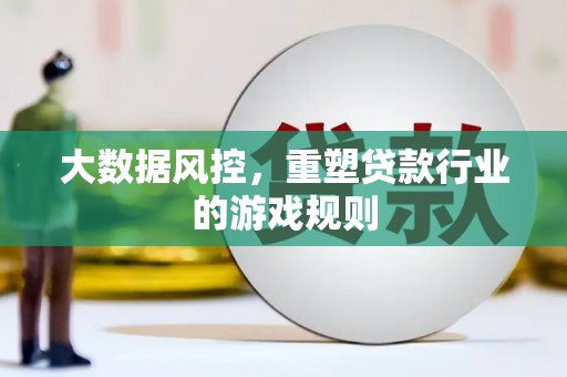 张家川大数据风控，重塑贷款行业的游戏规则