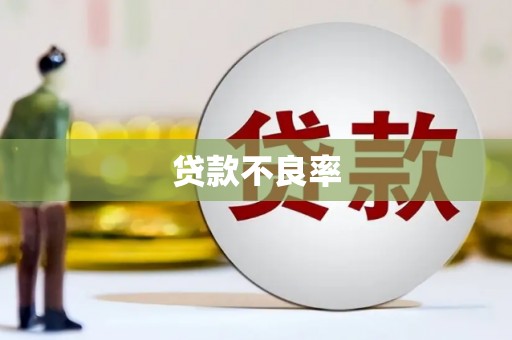 张家川贷款不良率