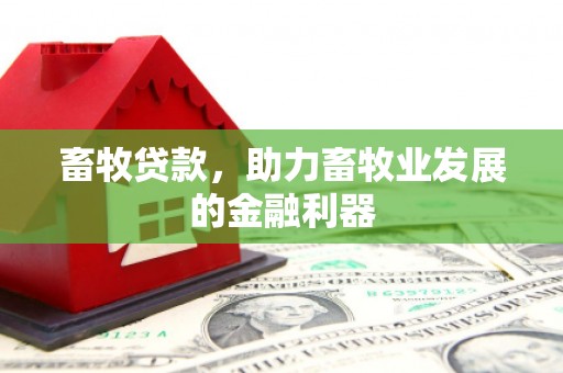 张家川畜牧贷款，助力畜牧业发展的金融利器
