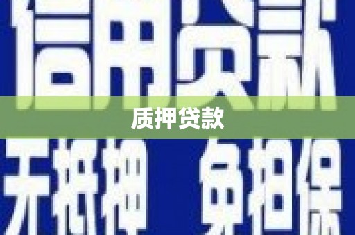 张家川质押贷款