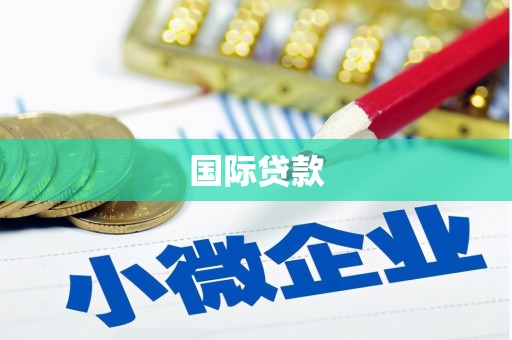 张家川国际贷款