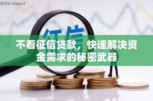 张家川不看征信贷款，快速解决资金需求的秘密武器
