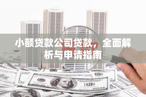 张家川小额贷款公司贷款，全面解析与申请指南