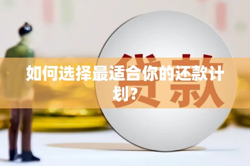 张家川如何选择最适合你的还款计划？