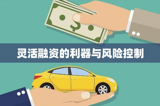 张家川灵活融资的利器与风险控制