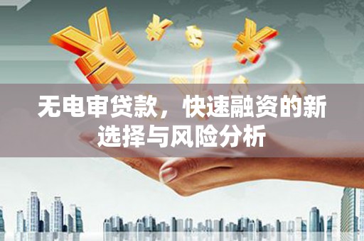 张家川无电审贷款，快速融资的新选择与风险分析