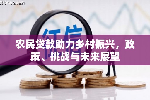 张家川农民贷款助力乡村振兴，政策、挑战与未来展望