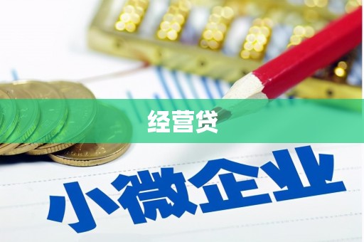 张家川经营贷