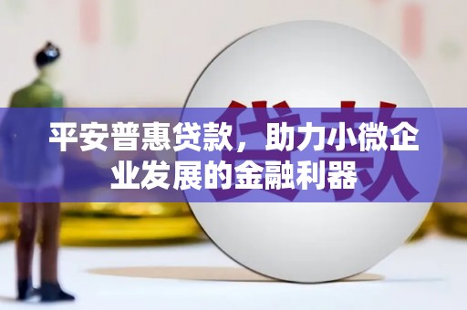 张家川平安普惠贷款，助力小微企业发展的金融利器