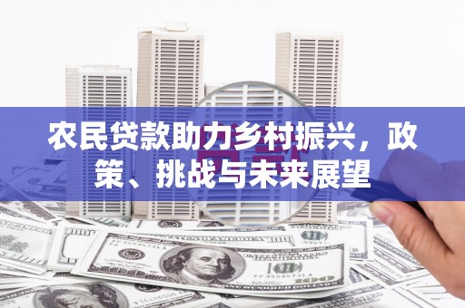张家川农民贷款助力乡村振兴，政策、挑战与未来展望