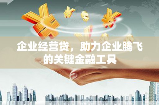 张家川企业经营贷，助力企业腾飞的关键金融工具