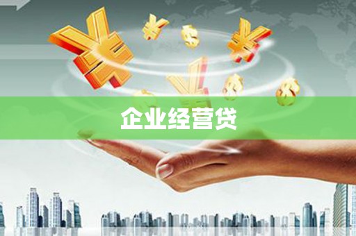 张家川企业经营贷