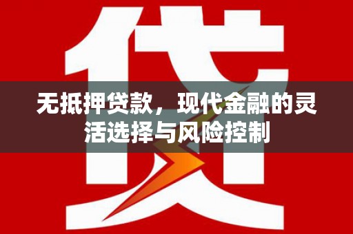 张家川无抵押贷款，现代金融的灵活选择与风险控制