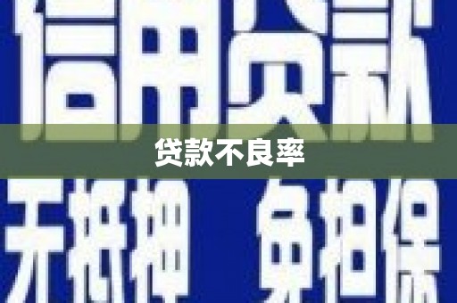 张家川贷款不良率