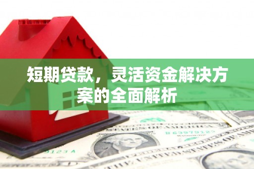 张家川短期贷款，灵活资金解决方案的全面解析
