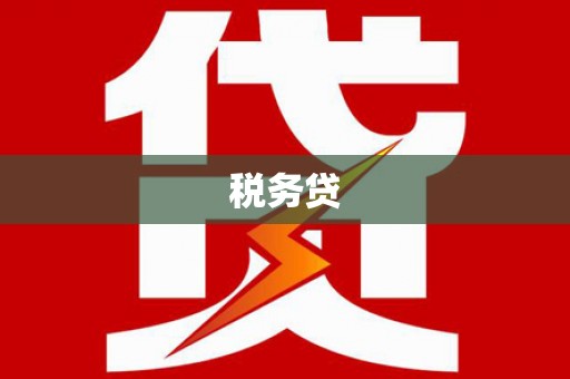 张家川税务贷