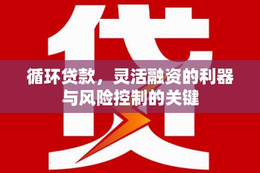 张家川循环贷款，灵活融资的利器与风险控制的关键
