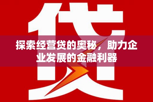 张家川探索经营贷的奥秘，助力企业发展的金融利器