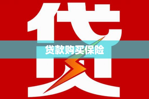 张家川贷款购买保险