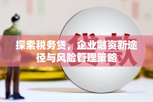 张家川探索税务贷，企业融资新途径与风险管理策略
