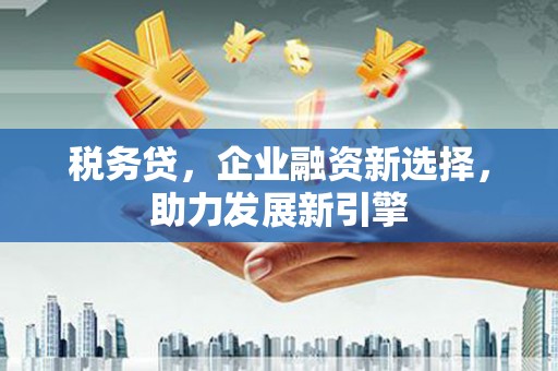 张家川税务贷，企业融资新选择，助力发展新引擎