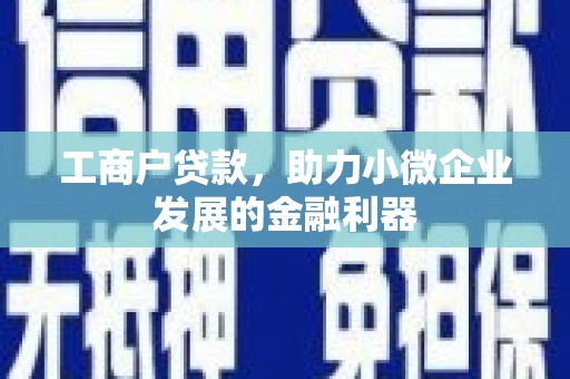 张家川工商户贷款，助力小微企业发展的金融利器