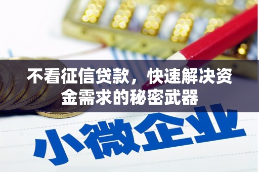 张家川不看征信贷款，快速解决资金需求的秘密武器