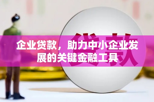 张家川企业贷款，助力中小企业发展的关键金融工具