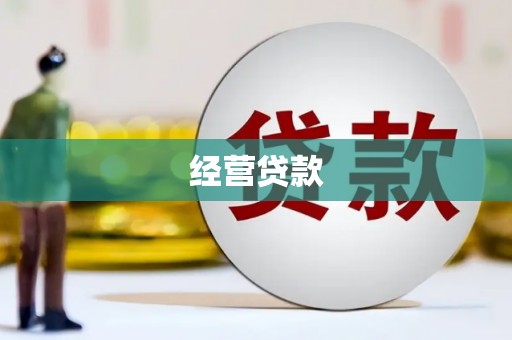 张家川经营贷款