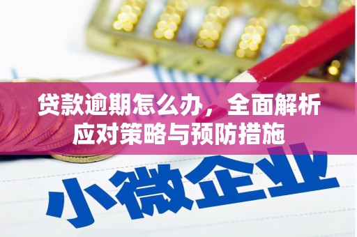 张家川贷款逾期怎么办，全面解析应对策略与预防措施
