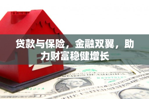 张家川贷款与保险，金融双翼，助力财富稳健增长