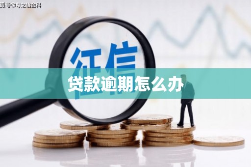张家川贷款逾期怎么办