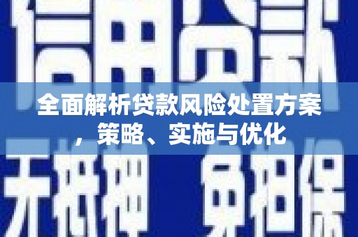 张家川全面解析贷款风险处置方案，策略、实施与优化