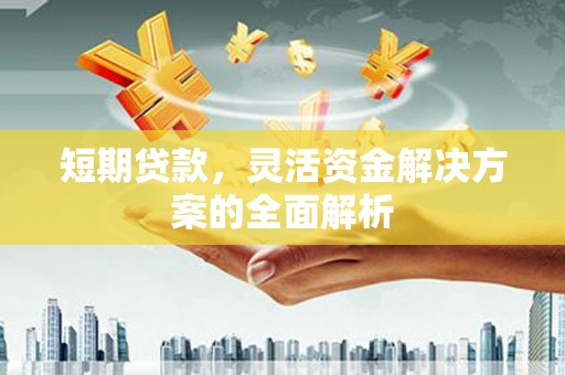 张家川短期贷款，灵活资金解决方案的全面解析