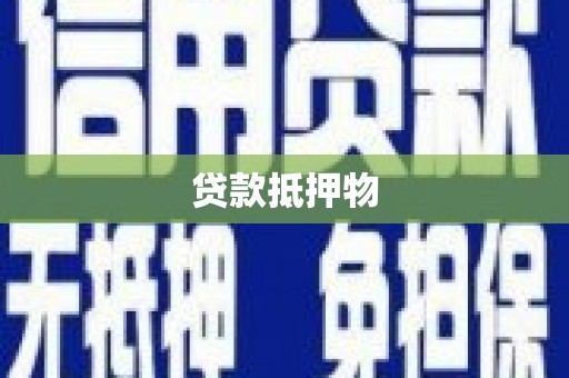 张家川贷款抵押物