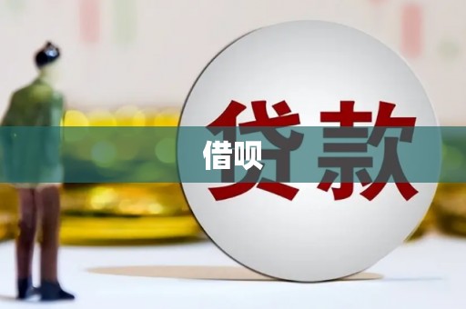 张家川借呗