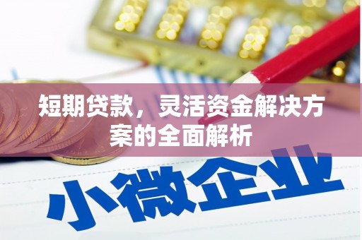 张家川短期贷款，灵活资金解决方案的全面解析