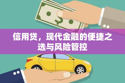 张家川信用贷，现代金融的便捷之选与风险管控