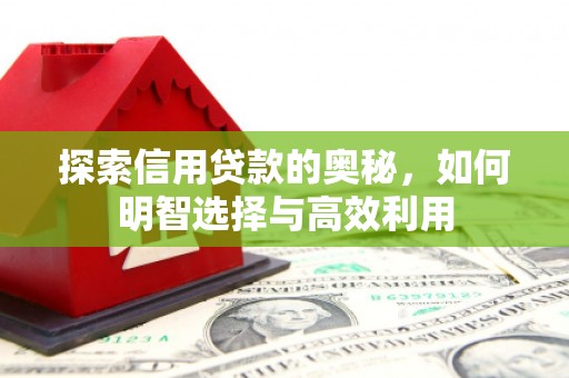张家川探索信用贷款的奥秘，如何明智选择与高效利用