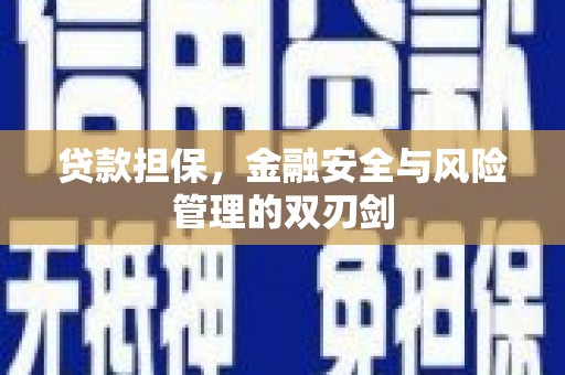 张家川贷款担保，金融安全与风险管理的双刃剑