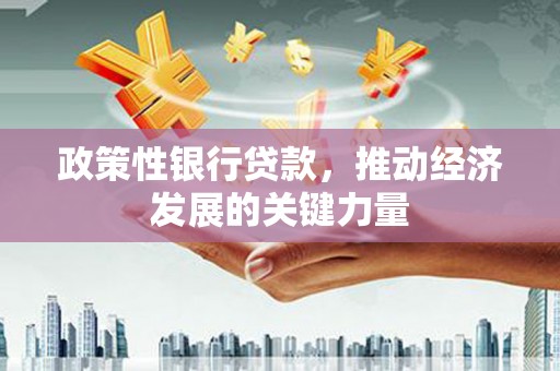 张家川政策性银行贷款，推动经济发展的关键力量