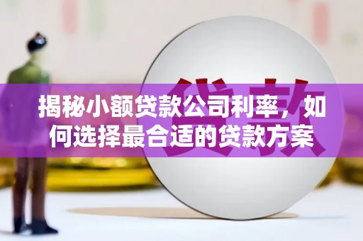 张家川揭秘小额贷款公司利率，如何选择最合适的贷款方案