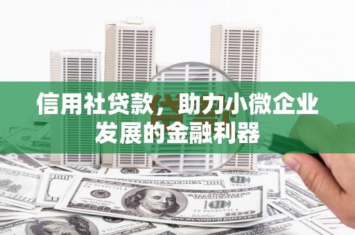 张家川信用社贷款，助力小微企业发展的金融利器