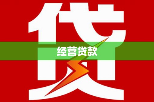 张家川经营贷款