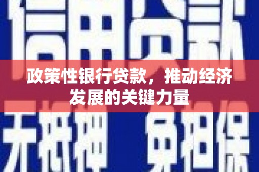 张家川政策性银行贷款，推动经济发展的关键力量