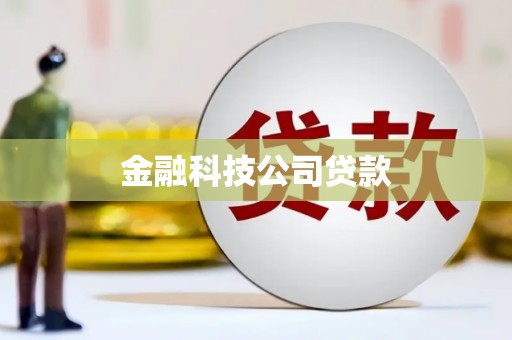 张家川金融科技公司贷款